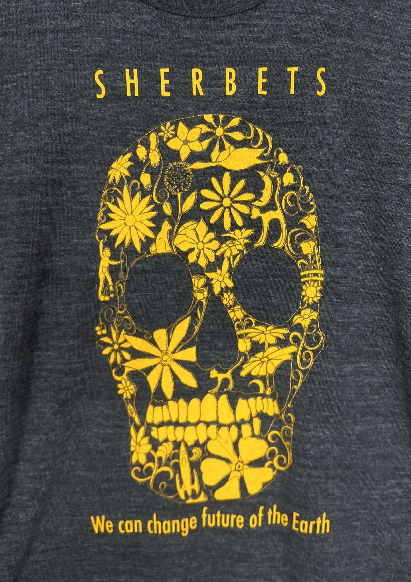 00s SHERBETS 'We can save future of the Earth' Japanese Band T-shirt