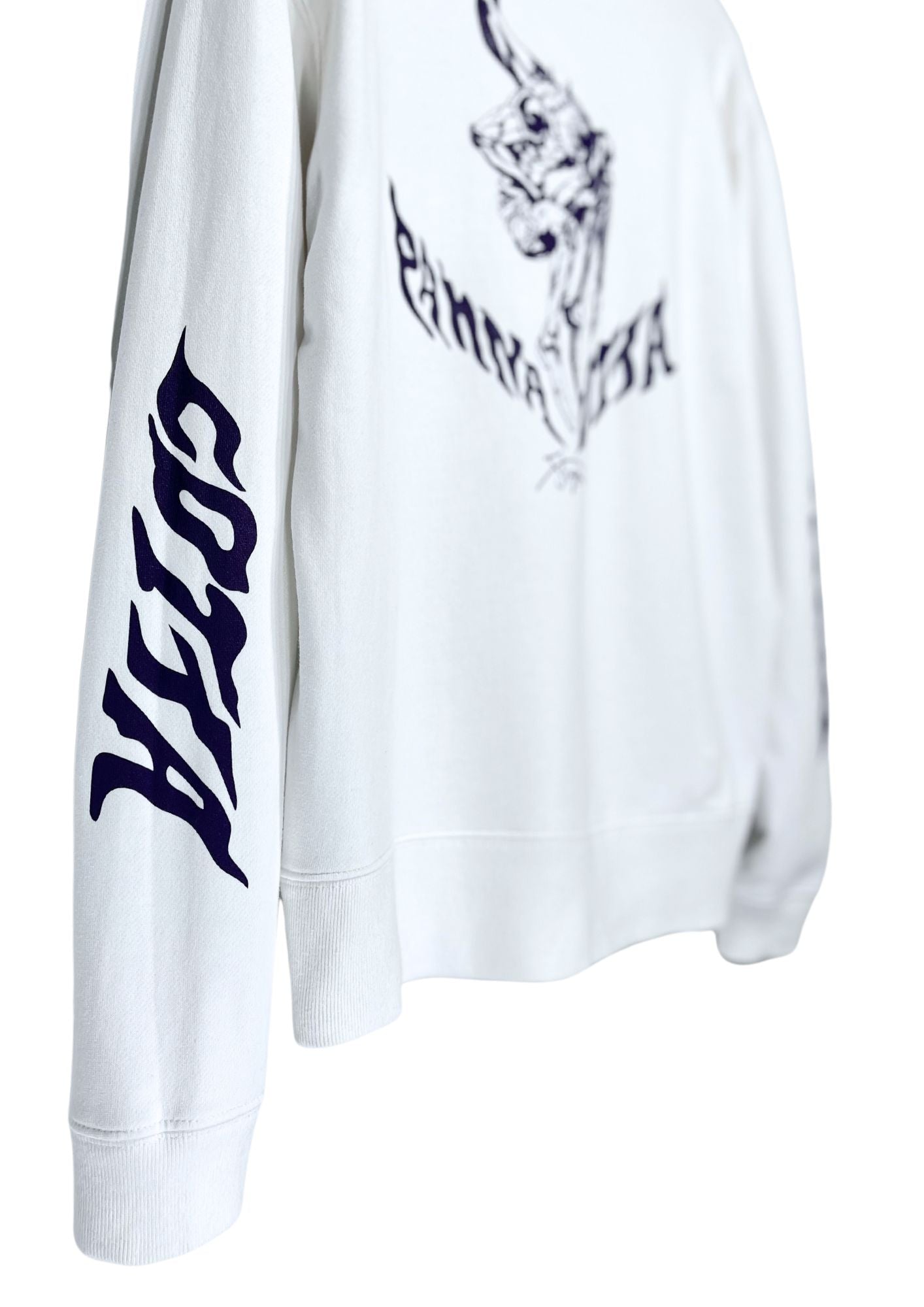 2019 Jojo's Bizarre Adventure x Tokyo Department Store Pannacotta Fugo Hoodie