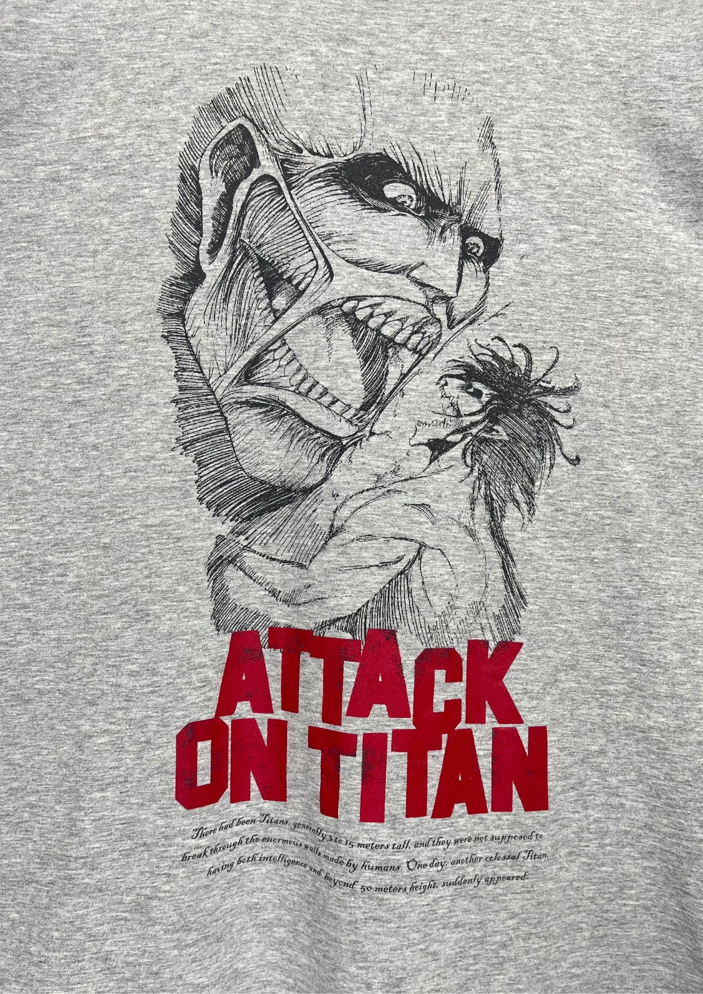 Attack On Titan x UT Titan T-shirt