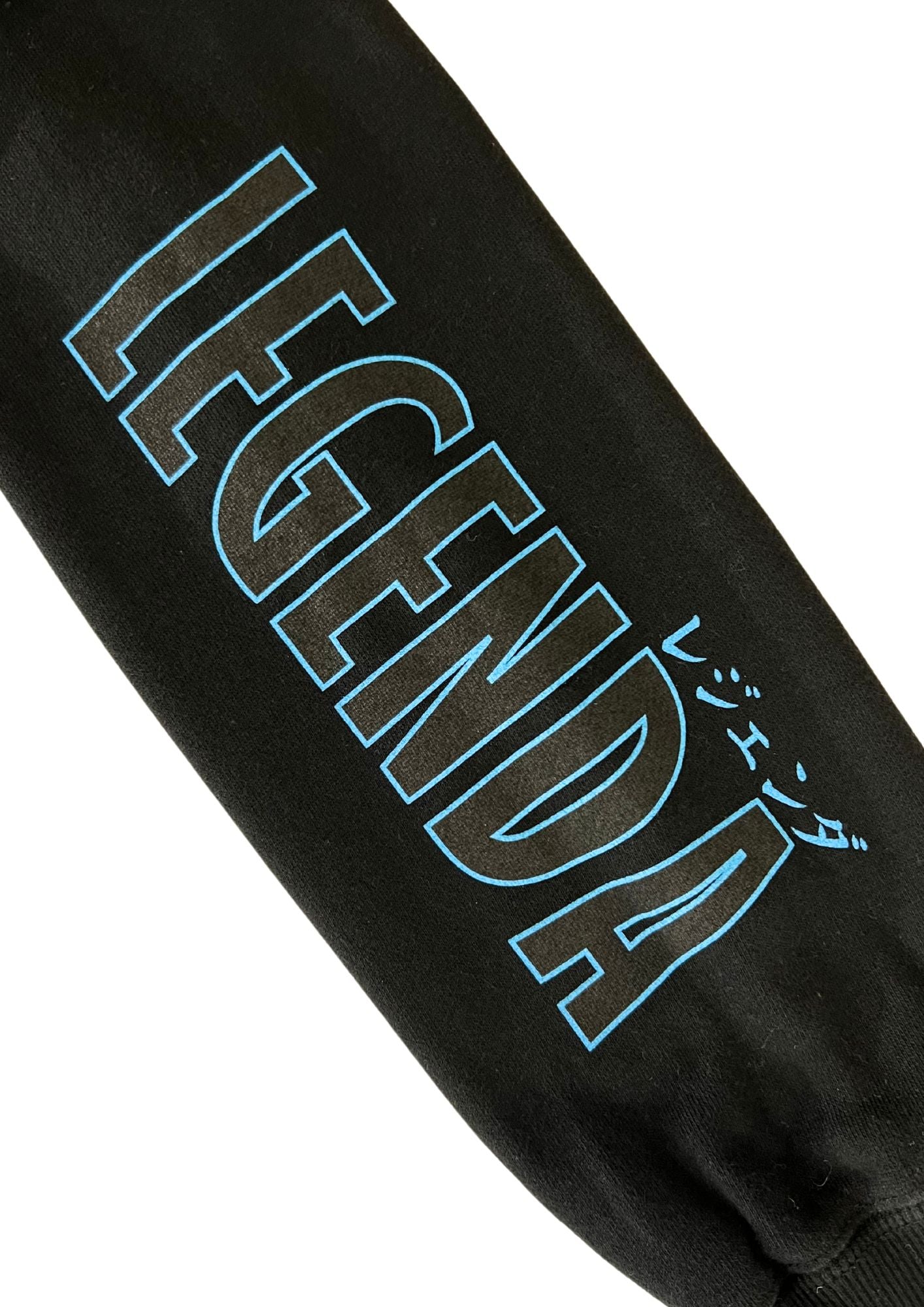 2019 Neon Genesis Evangelion x LEGENDA Rei Ayanami Hoodie