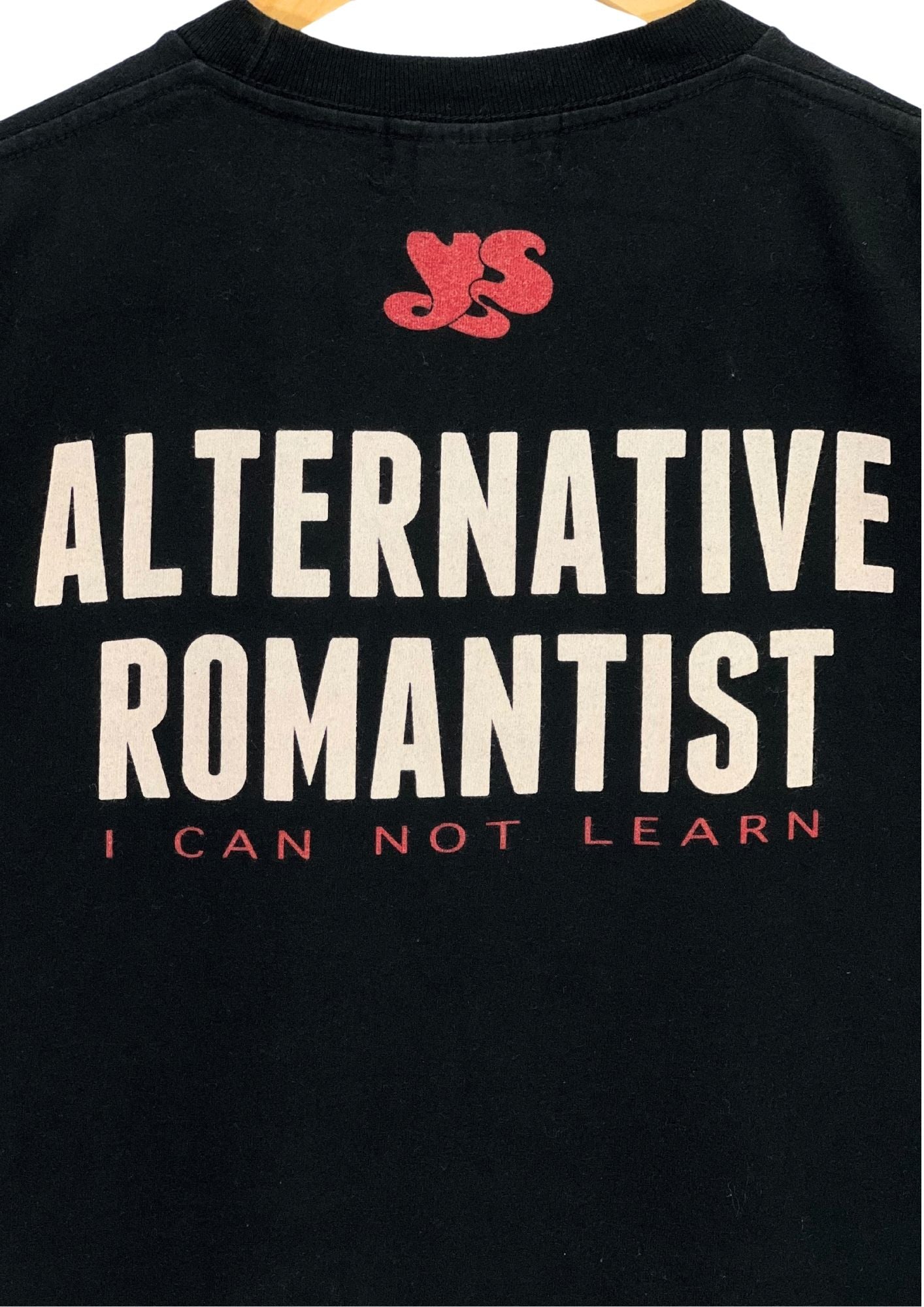 2013 Sawao Yamanaka THE PILLOWS x RED BAT 'Alternative Romantist' Japanese Band T-shirt (S)
