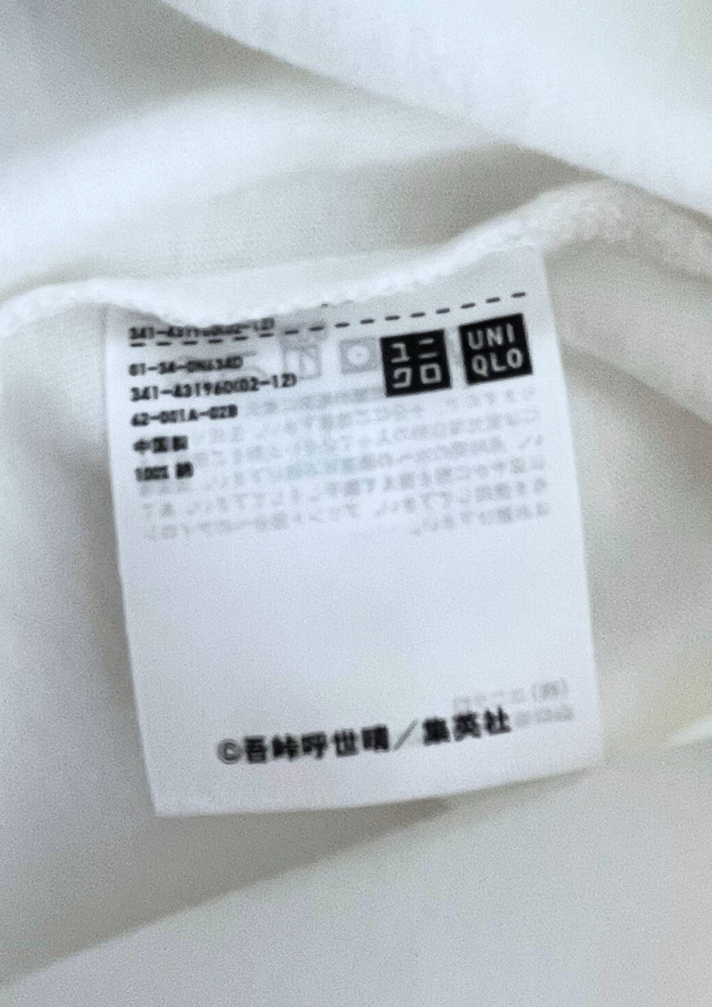 Deadstock 2020 Demon Slayer x UT Hashira T-shirt