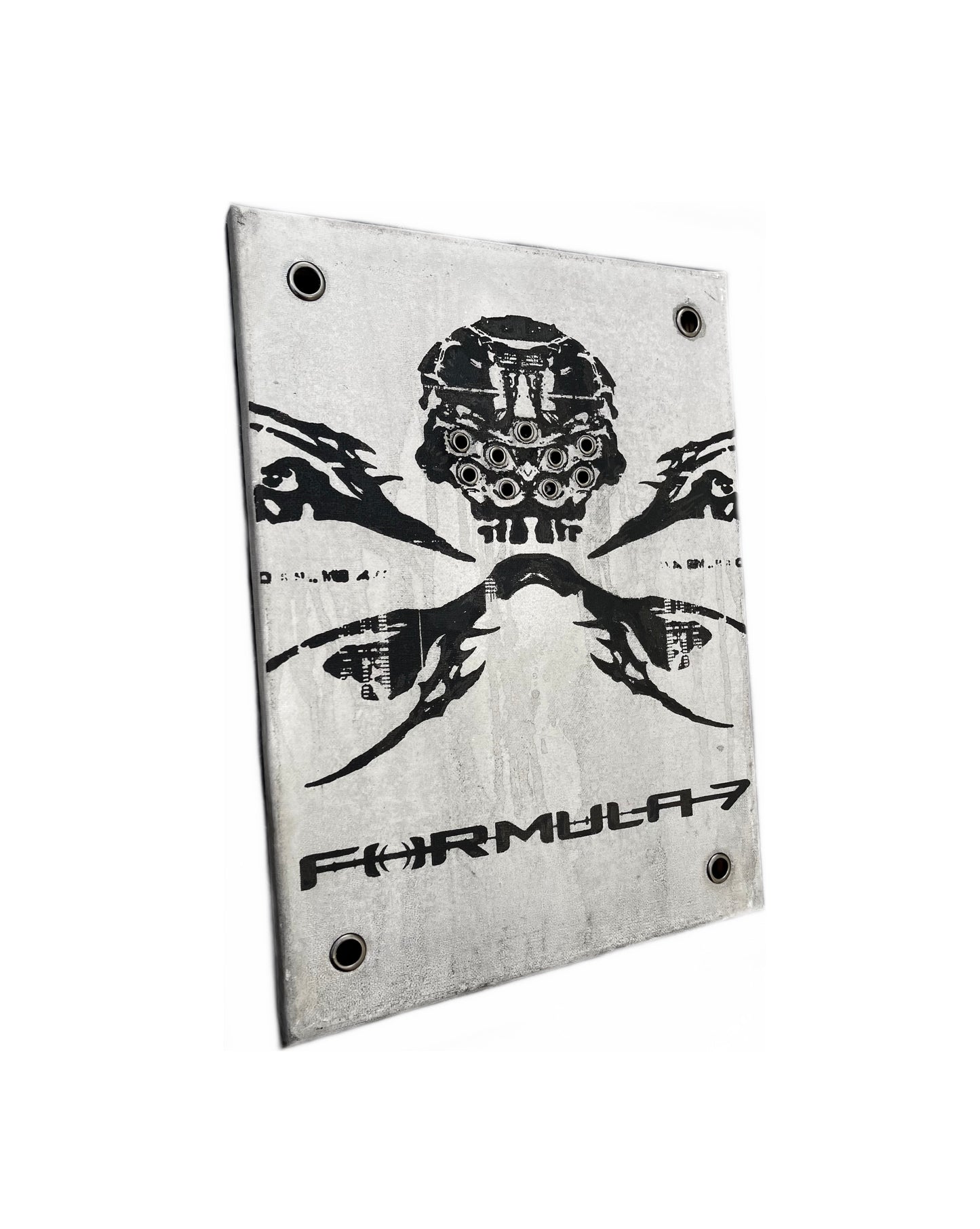FORMULA-7 FXS METAL SKULL STAINED PAINTING 1/1