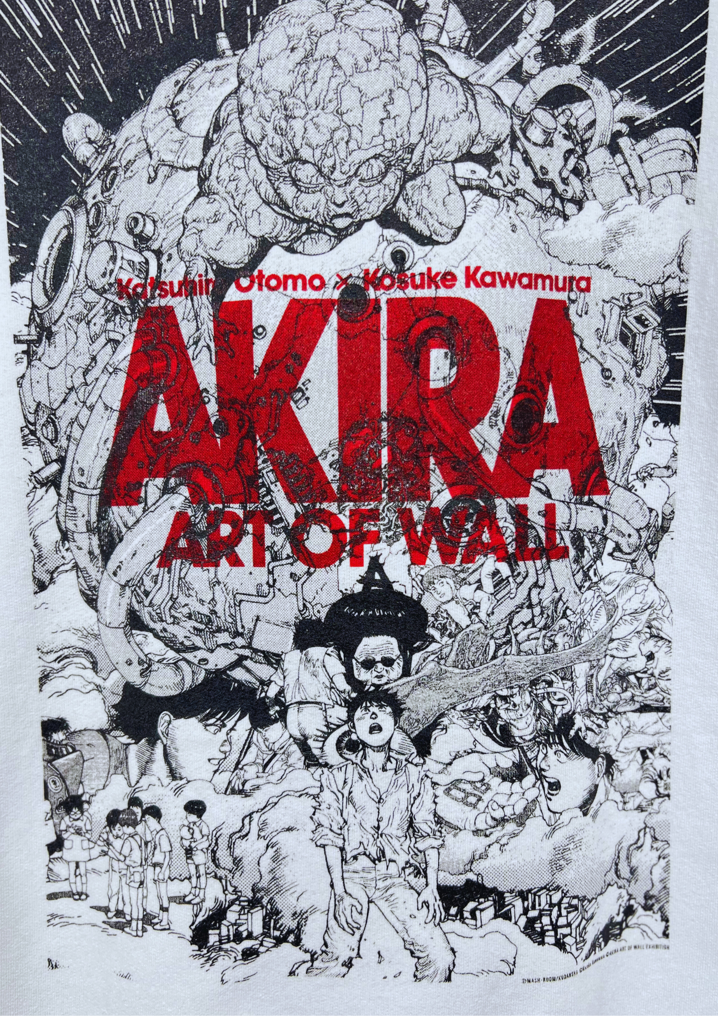 AKIRA x ART OF WALL Exhibition Limited Hoodie