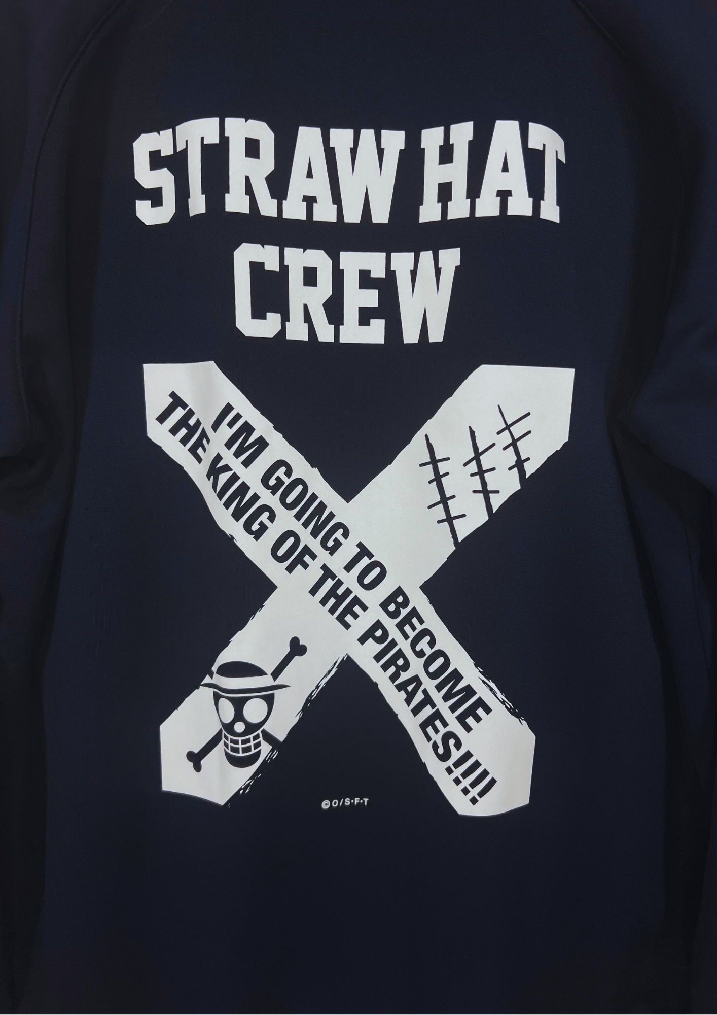 2019 One Piece x Brujila Straw Hat Crew Zip-Up Jersey