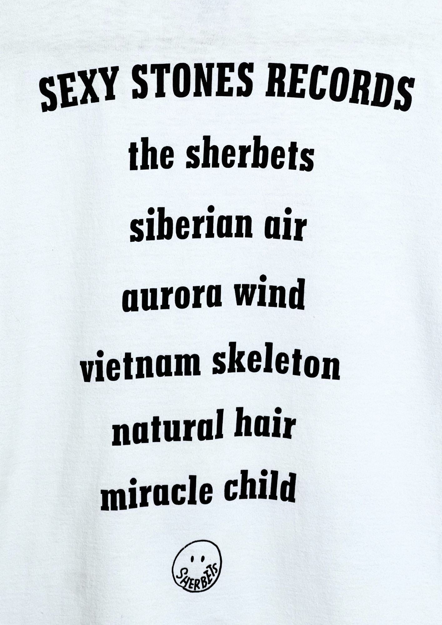2000s SHERBETS Kenichi Asai ‘One day Sandy said’ Japanese Band T-shirt