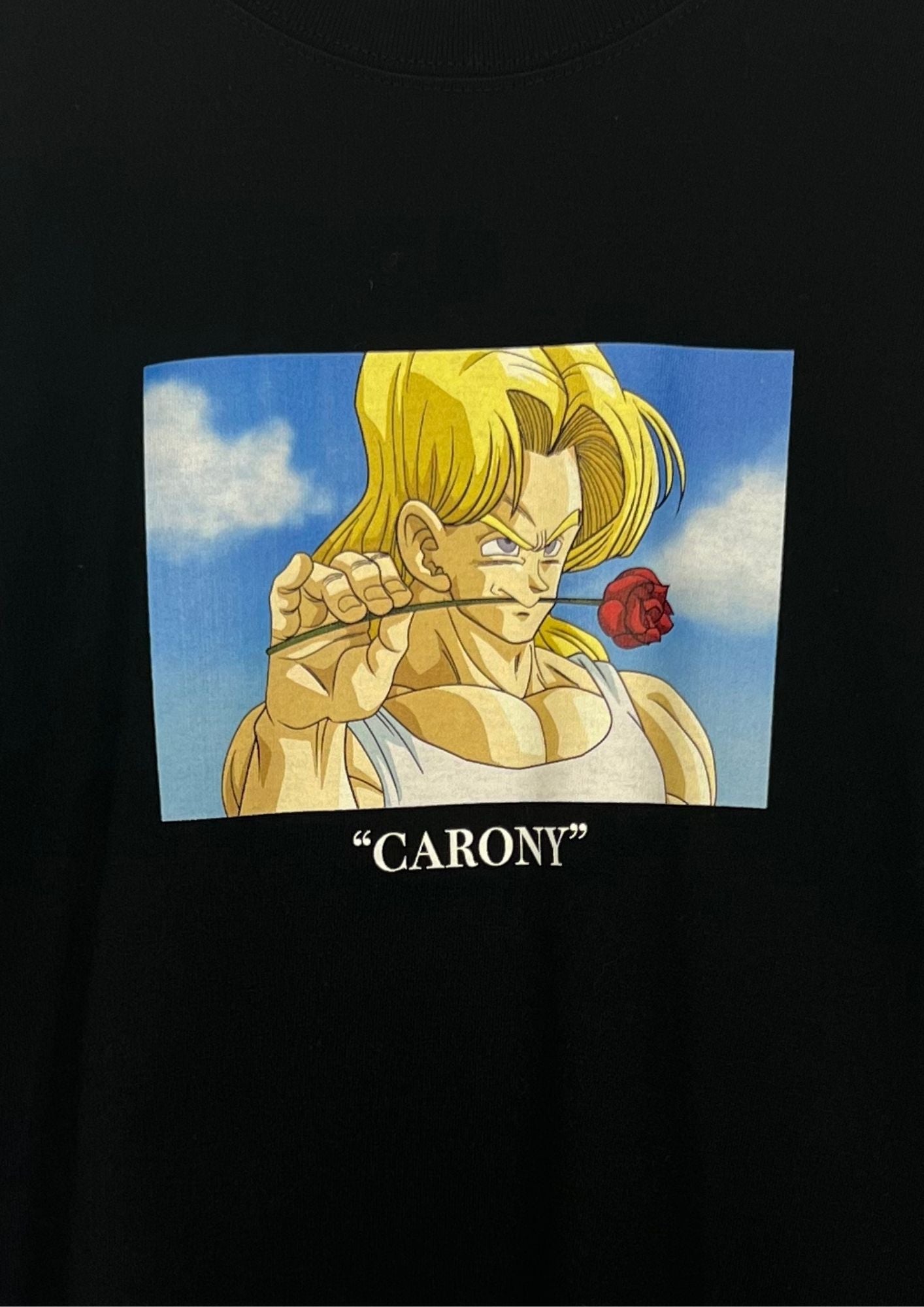 Dragon Ball Z x LEGENDA Carony T-shirt
