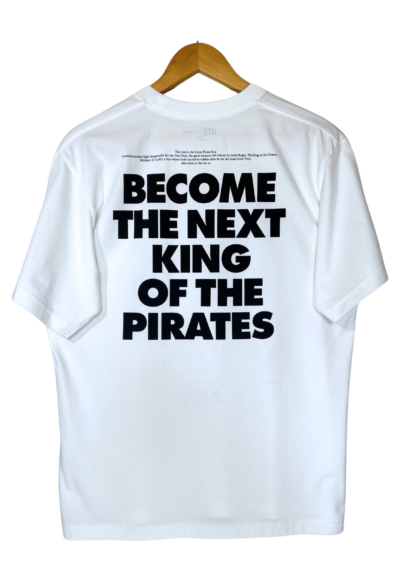 2025 One Piece x UT Archive Revival Model ‘Zoro and Luffy’ T-shirt (L)