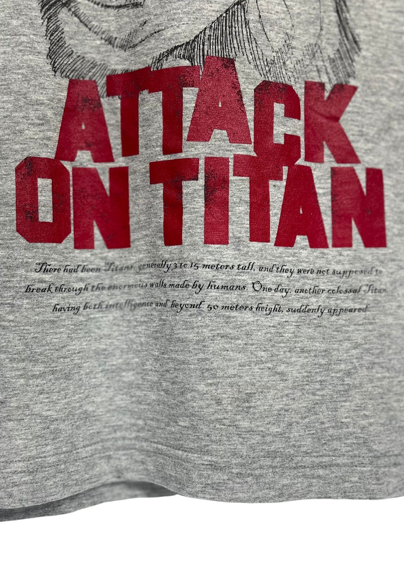 Attack On Titan x UT Titan T-shirt