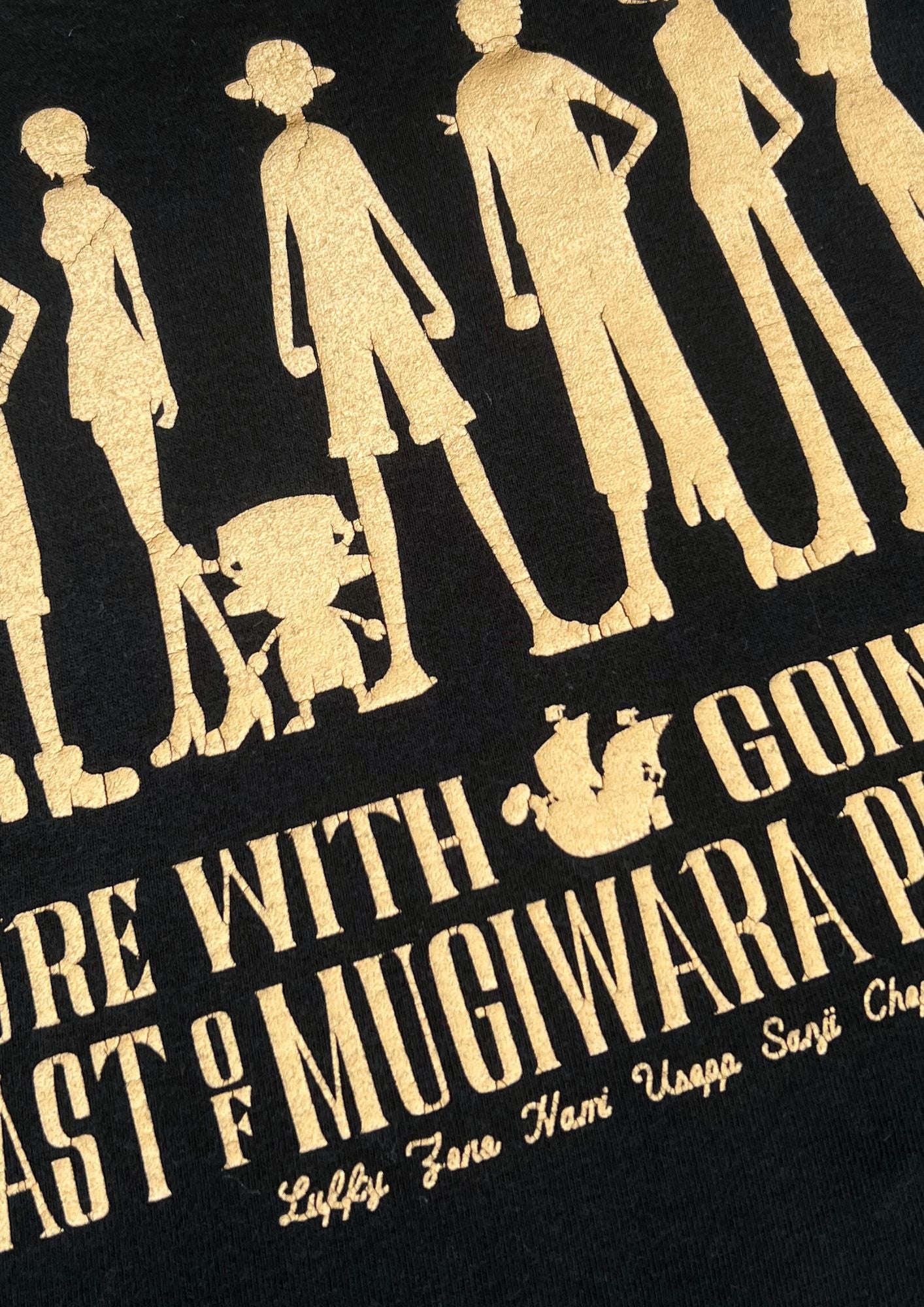 2010s One Piece x Shueisha 'Mugiwara Pirates' T-shirt (M)